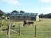 Barn9